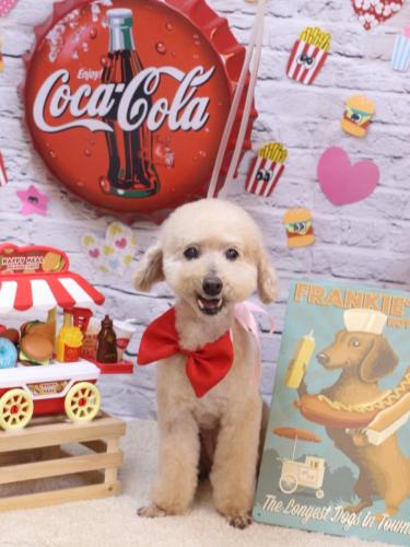 20230905あくびちゃん